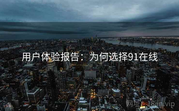 用户体验报告：为何选择91在线
