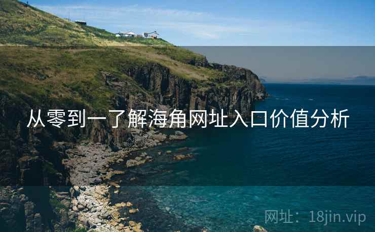 从零到一了解海角网址入口价值分析