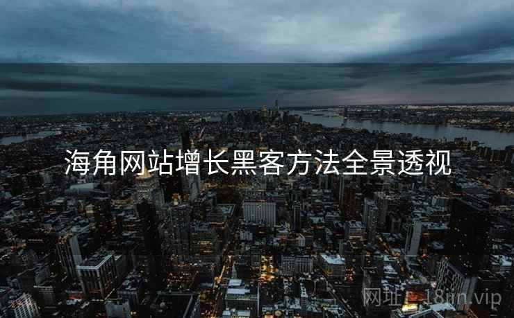 海角网站增长黑客方法全景透视