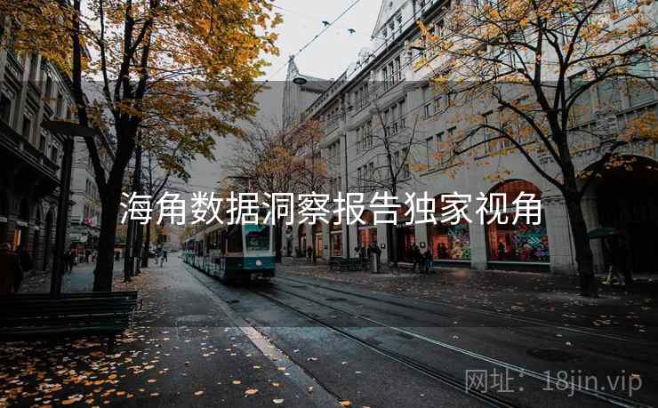 海角数据洞察报告独家视角