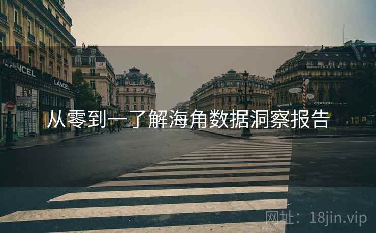 从零到一了解海角数据洞察报告